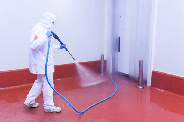 Best Graffiti Removal  in Marysville, PA